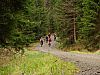 DSC06090.jpg
